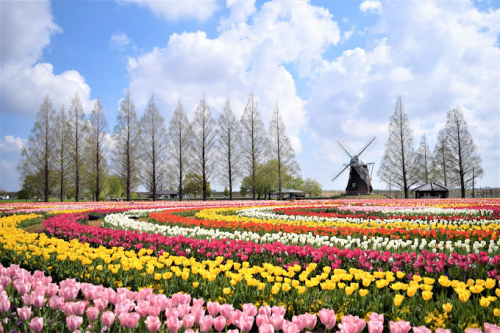 あけぼの山農業公園 春季スタッフ急募