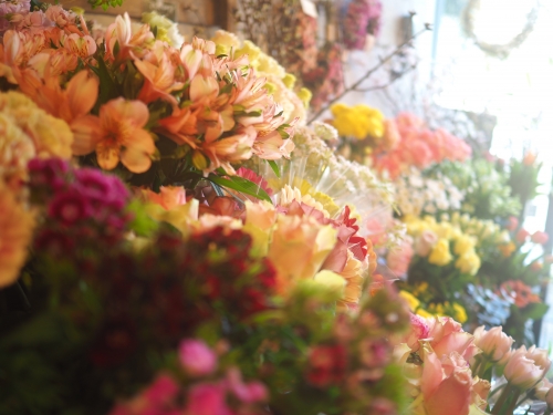 店舗スタッフ募集！ 駒込駅1分の花屋です
