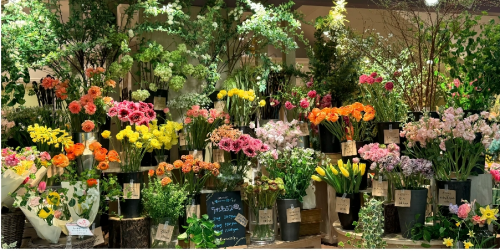 お花屋さんで接客のお手伝いをしてくださるスタッフを募集しています！