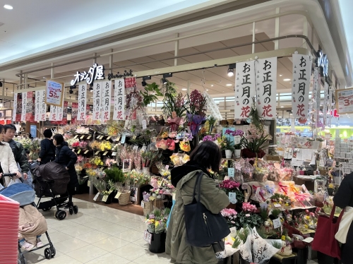 オランダ屋オリナス錦糸町店頭販売スタッフ募集